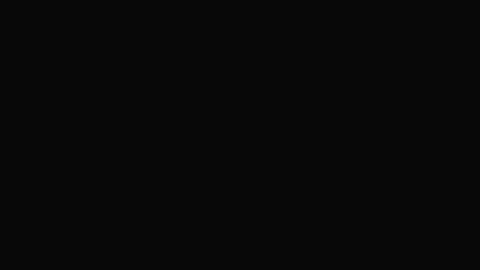 12046
