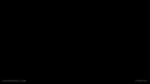 24067
